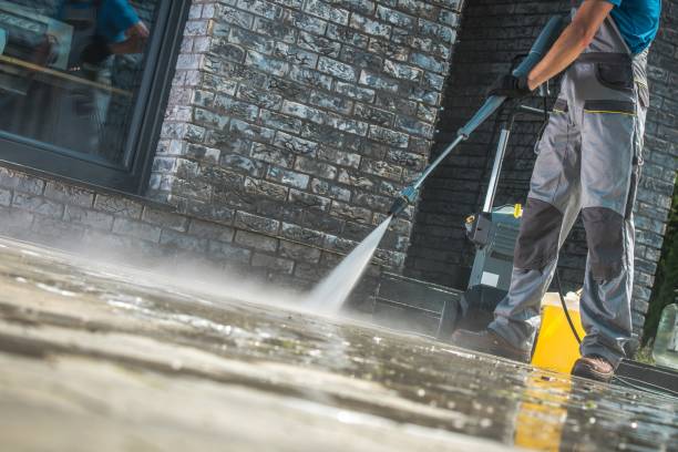 Best Roof Washing  in Pueblo West, CO